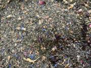 BIO Abendruhe    200g