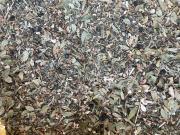  BIO Spießer Tee        200g